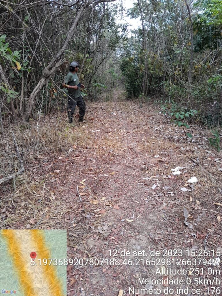 14. Agents discover an illegally road leading to an illegal farm