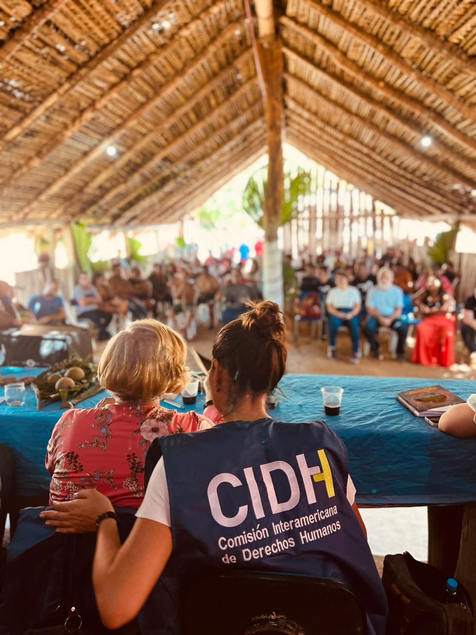 AmazoniAlerta contribui com investigação da CIDH em Araribóia