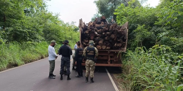 Operação da PF contra desmatamento ilegal na Terra Indígena Araribóia é deflagrada no Maranhão.